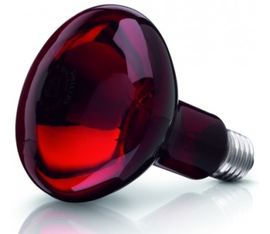 Promiennik podczerwieni 100 Wat do lampy Beurer IL 11